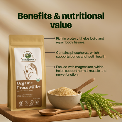 Homegrown Organic Proso Millet
