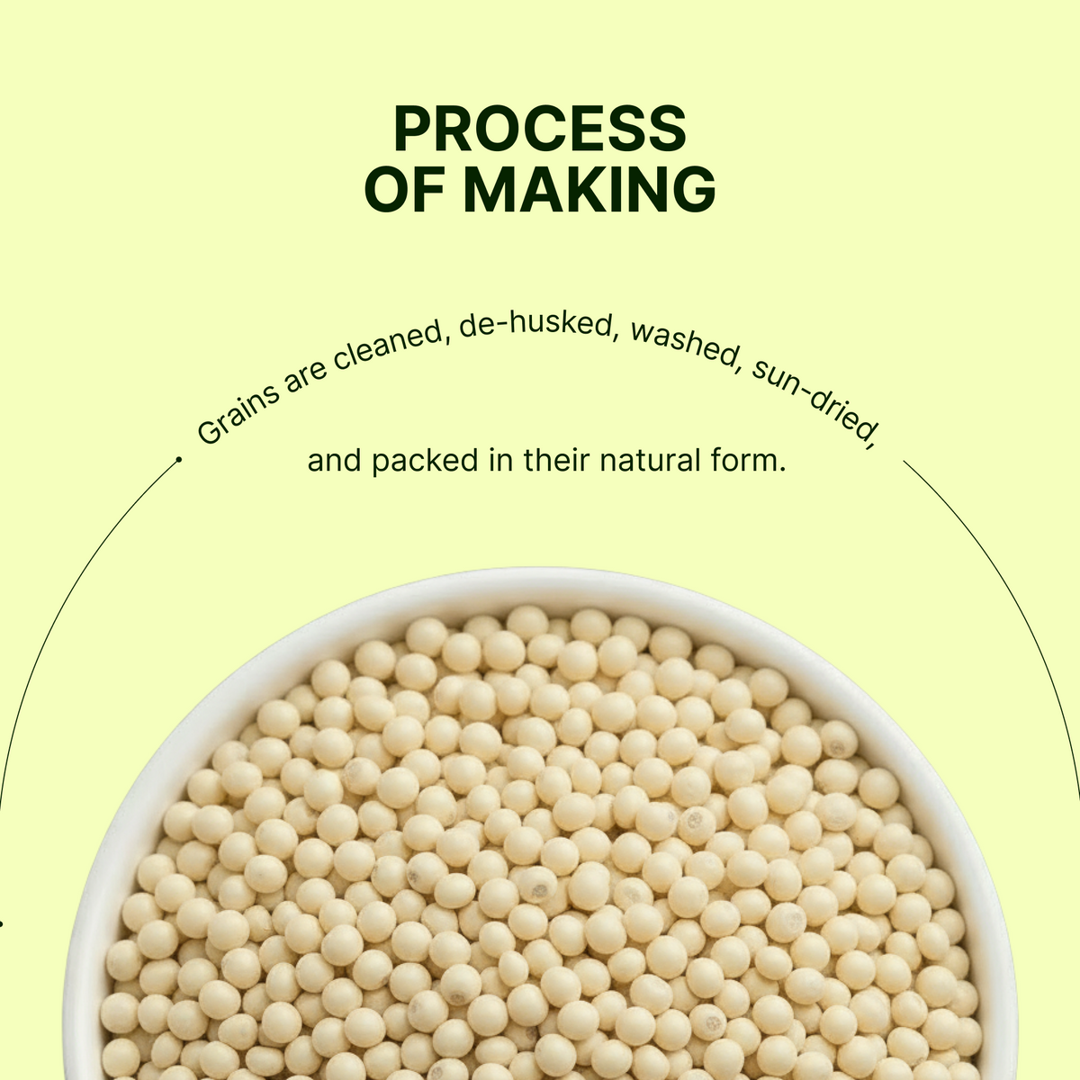 Homegrown Organic Proso Millet