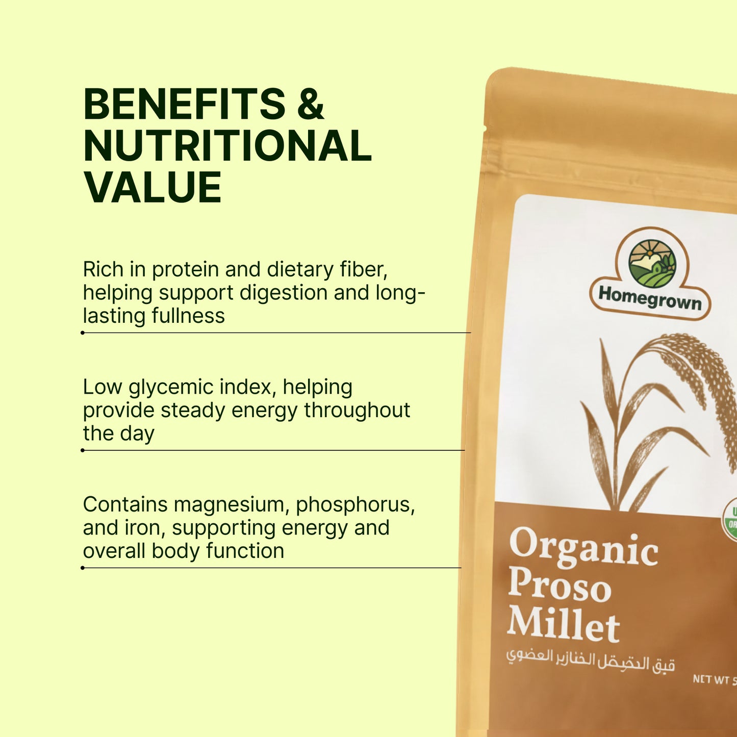 Homegrown Organic Proso Millet (500g)