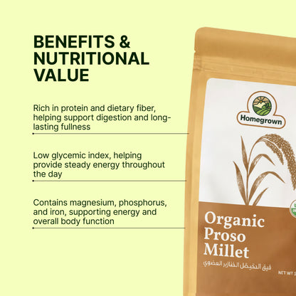 Homegrown Organic Proso Millet (500g)